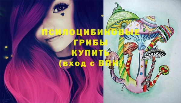 метамфетамин Алексеевка