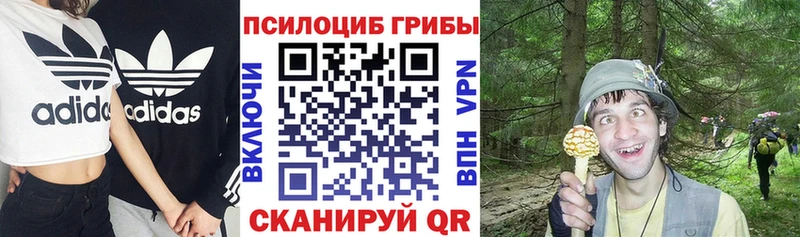 Галлюциногенные грибы мухоморы Рошаль
